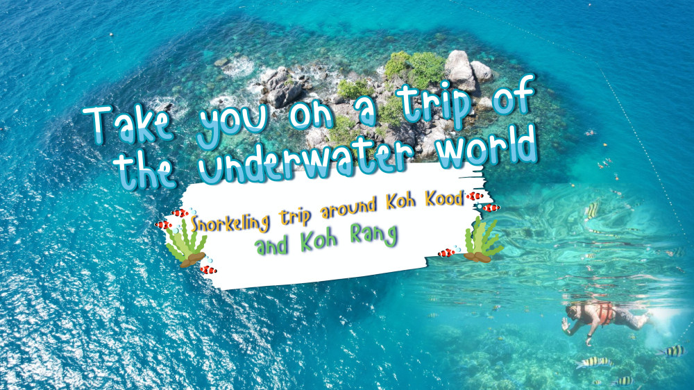 ทริปดำน้ำ เกาะกูด หมู่เกาะรัง